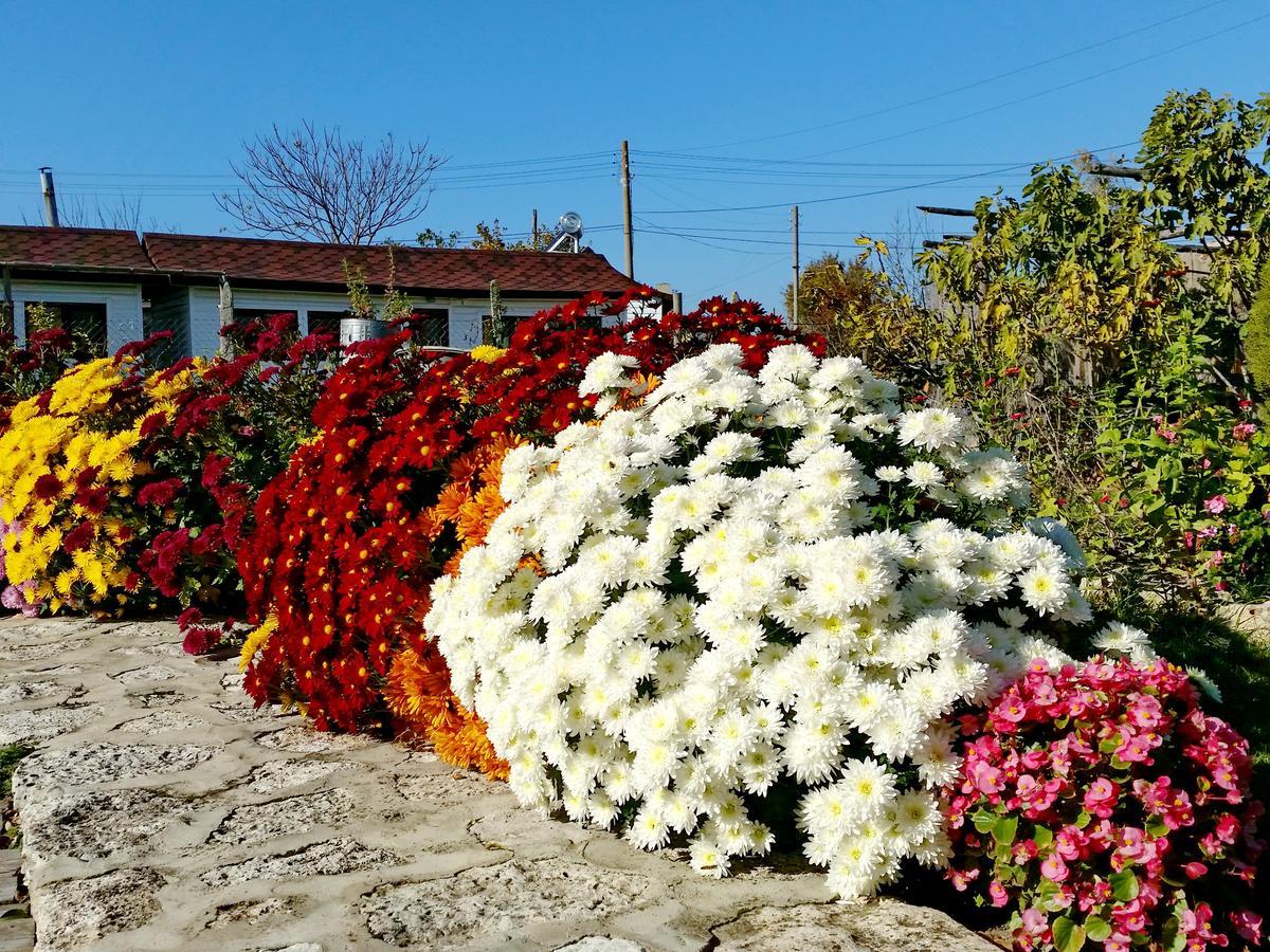 Kosta Bungalows Bŭlgarevo エクステリア 写真